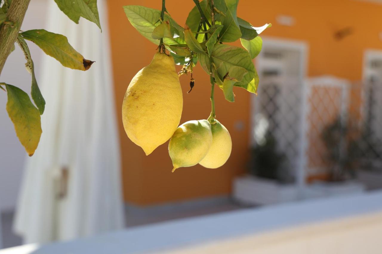 Casa Vacanze Il Gigante Comfort A Due Passi Dalla Valle Dei Templi Agrigento Exterior foto